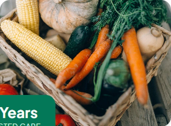 Nutrition strategy