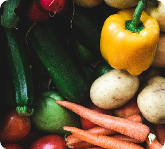 Fresh vegetables